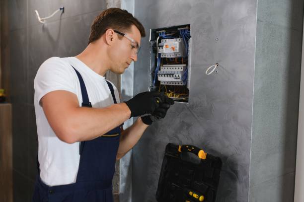 Best Electrical Upgrades for Homes  in Berrien Springs, MI