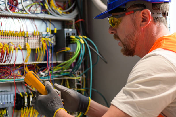 Best Electric Panel Repair  in Berrien Springs, MI